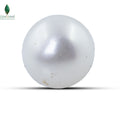Natural Cultured Pearl - 2.95 CT
