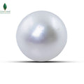 Natural Cultured Pearl - 3.2 CT