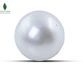 Natural Cultured Pearl - 2.9 CT