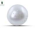 Natural Cultured Pearl - 3.1 CT