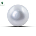 Natural Cultured Pearl - 3.3 CT