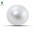 SOUTH SEA WATER PEARL -10.2 CT
