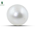 SOUTH SEA WATER PEARL -6.9 CT