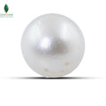 SOUTH SEA WATER PEARL -6.45 CT