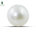 SOUTH SEA WATER PEARL -10.2 CT