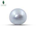Natural Cultured Pearl (Gray) - 12.75 CT
