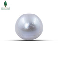 Natural Cultured Pearl (Gray) - 12.85 CT
