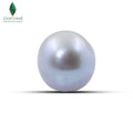 Natural Cultured Pearl (Gray) - 13.15 CT