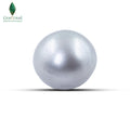 Natural Cultured Pearl (Gray) - 12.2 CT