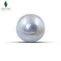 Natural Cultured Pearl (Gray) - 13.1 CT