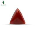 RED CORAL (MOONGA) - 2.6 CT