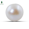 Natural Cultured Pearl - 12.4 CT