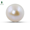 Natural Cultured Pearl - 12.15 CT