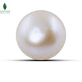 Natural Cultured Pearl - 12 CT