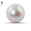 Natural Cultured Pearl - 10.25 CT