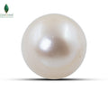 Natural Cultured Pearl - 11.5 CT