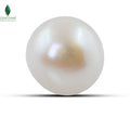 Natural Cultured Pearl - 12.3 CT
