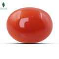 NATURAL CARNELIAN  - 17.6 CT