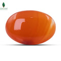 NATURAL CARNELIAN  - 19.5 CT