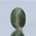 Natural Cats Eye Gemstone Lehsunia India