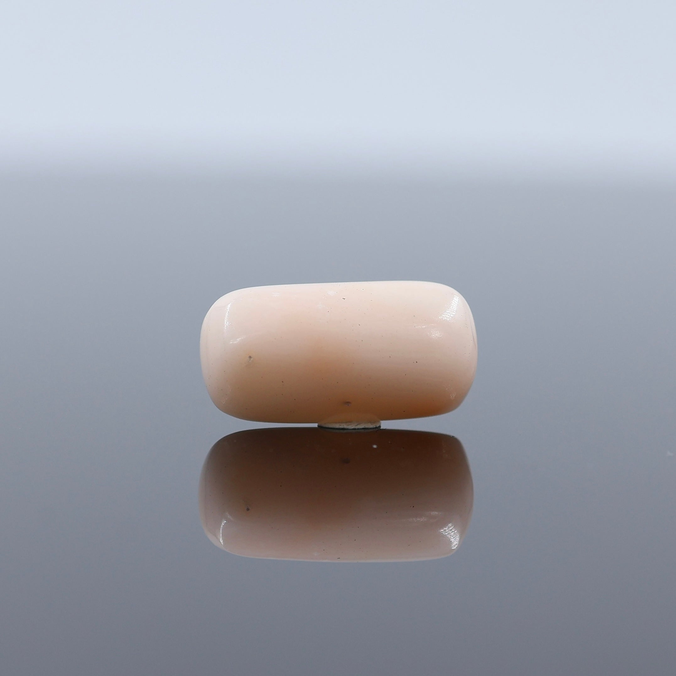 White Coral Stone Astrology Safed Moonga Certified Natural