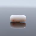 Buy Safed Moonga Online White Coral Gem Certified Natural