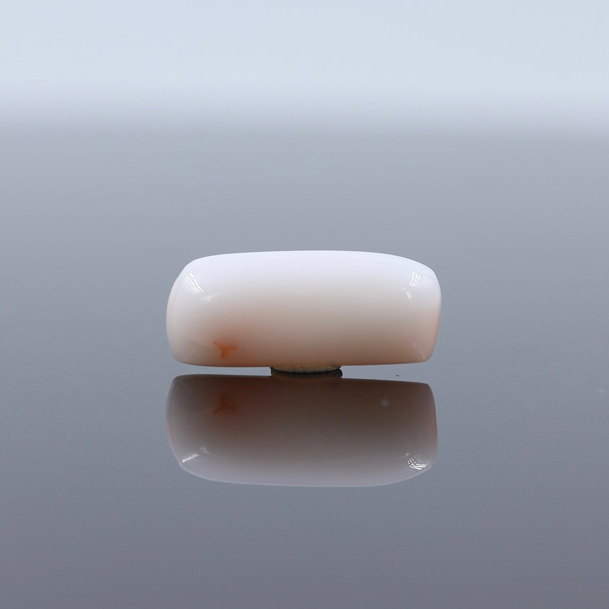 Buy Safed Moonga Online White Coral Gem Certified Natural