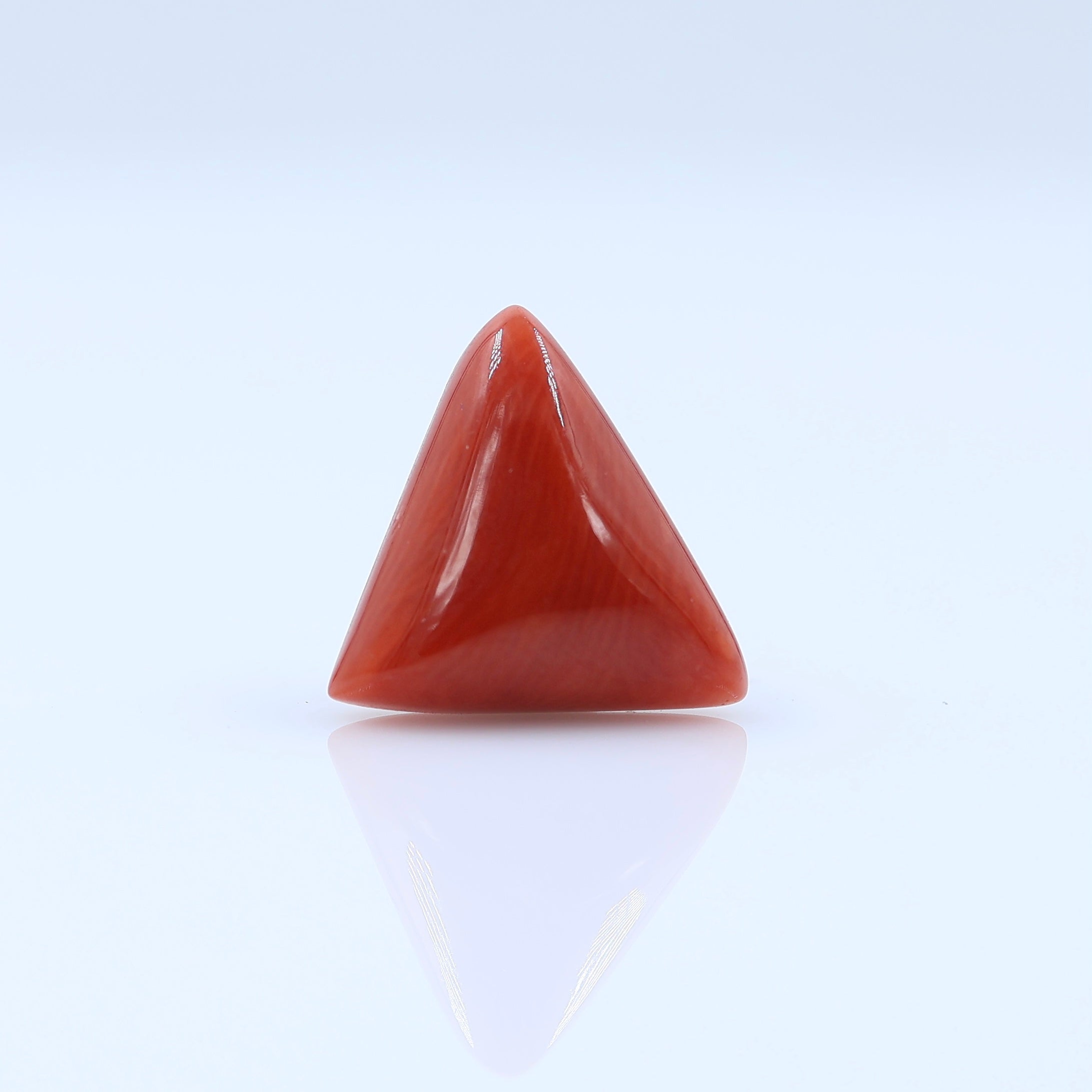 Italian Red Coral Natural Red Coral Moonga Stone