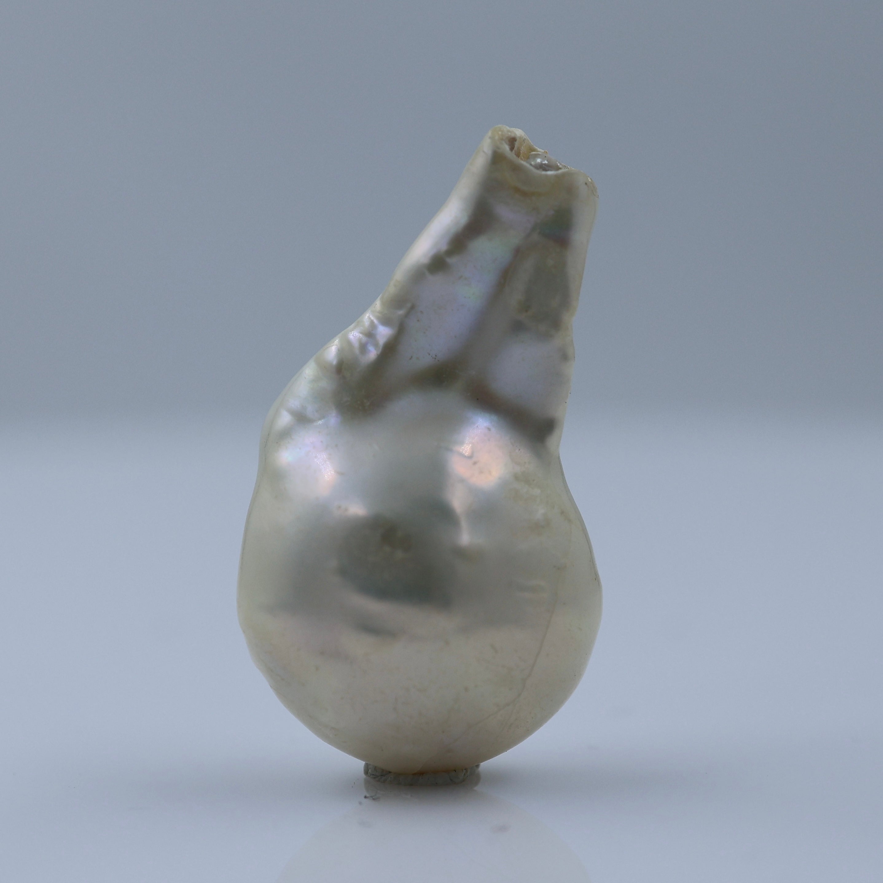 Genuine South Sea Baroque Pearl Cultured Gemttorae India