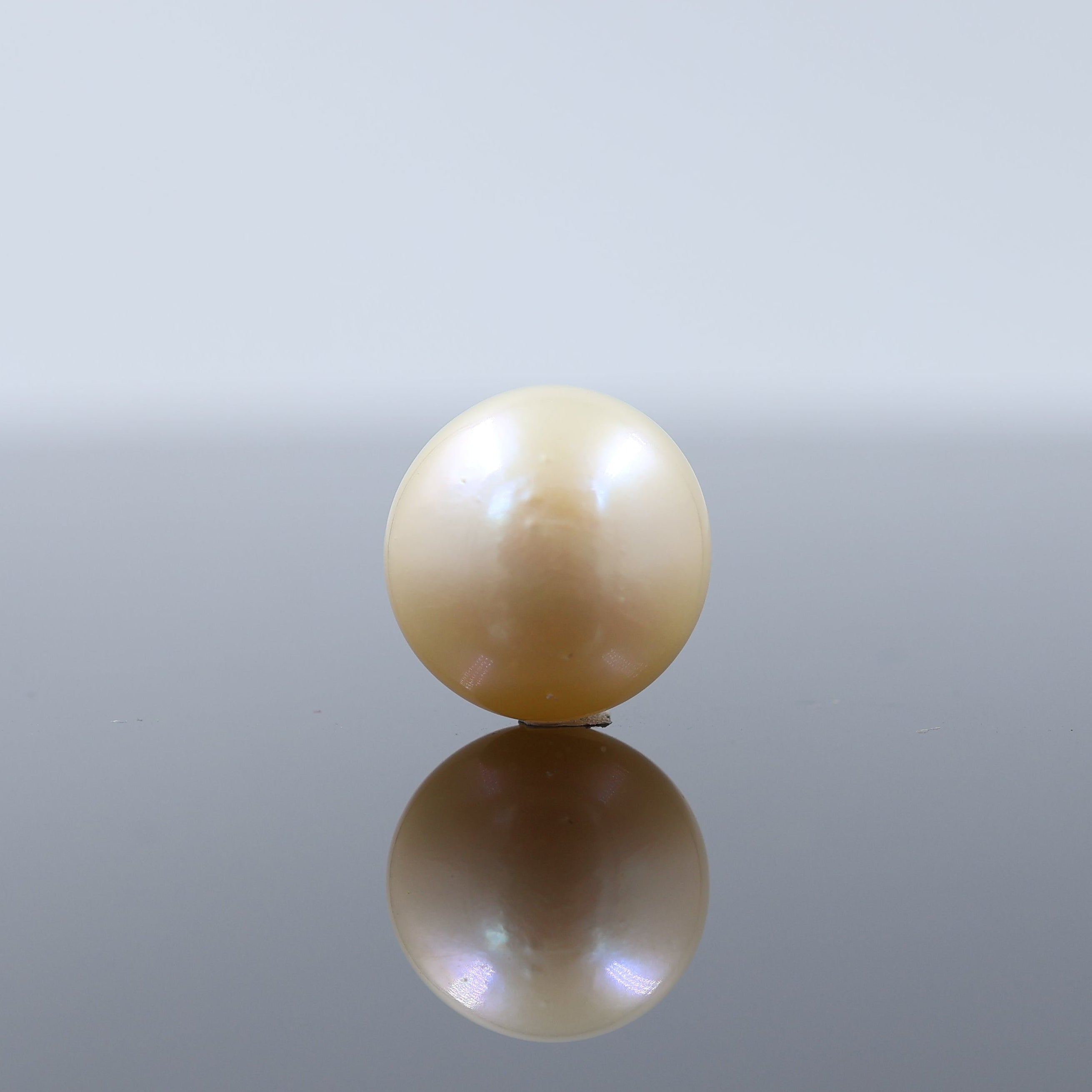 Natural Cultured Pearl Real Pearls Gemttorae India