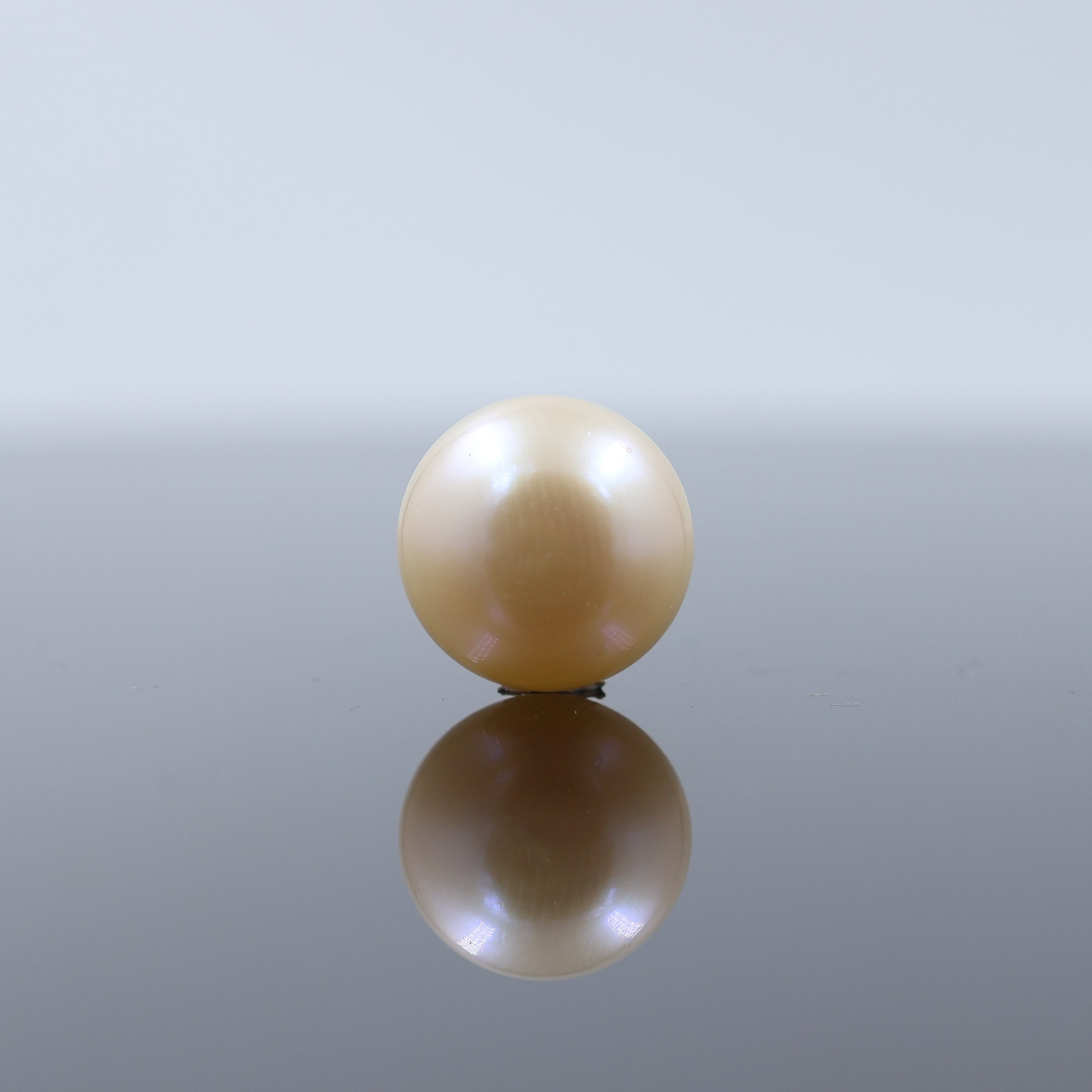 Lustrous Cultured Pearl Real Pearls 