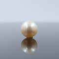 Premium Cultured Pearl Real Pearls Gemttorae India