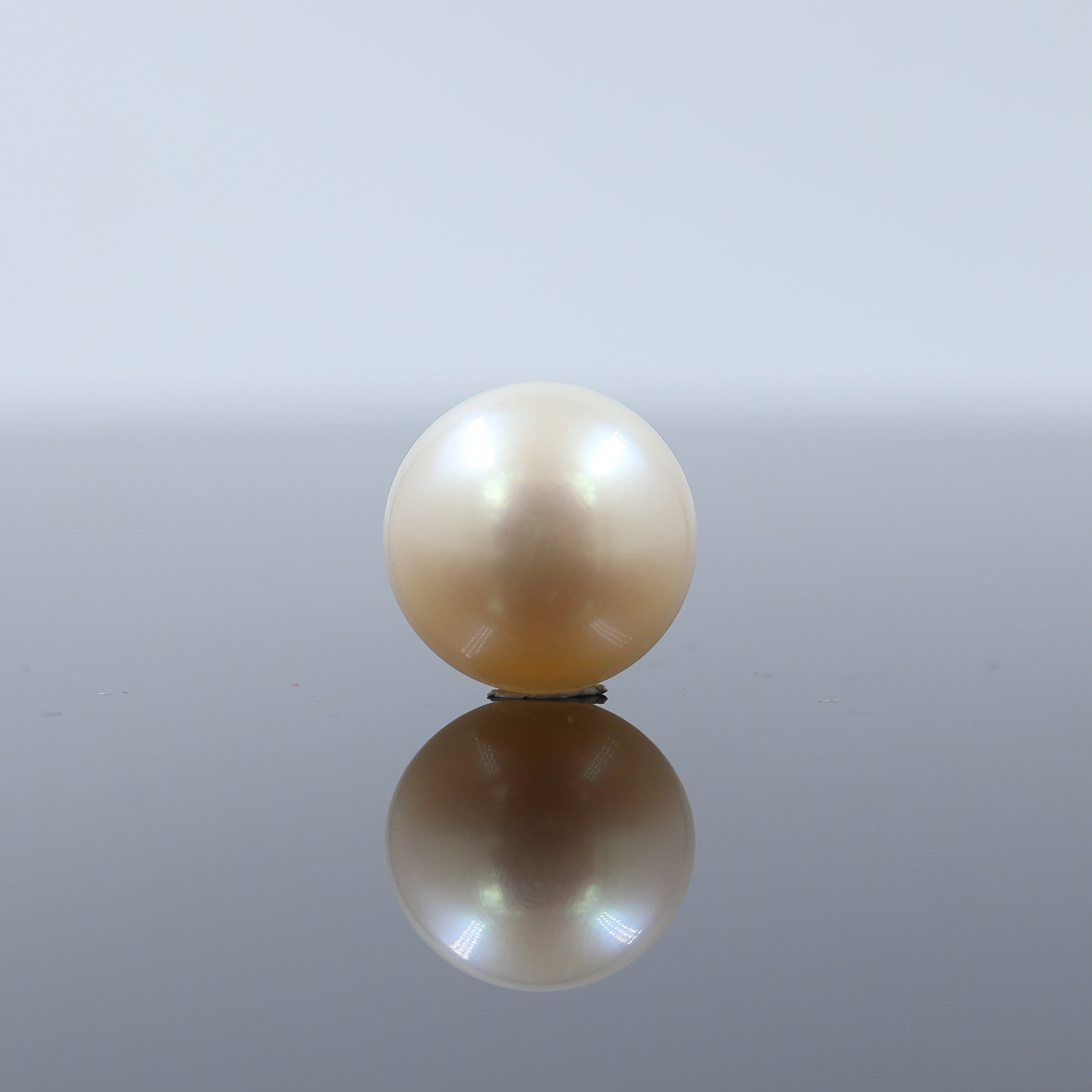 Premium Cultured Pearl Real Pearls Gemttorae India