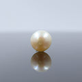 Certified Cultured Pearl Real Pearls Gemttorae India