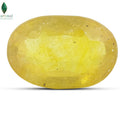 Oval Bangkok Yellow Sapphire with warm golden brilliance