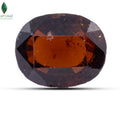 Front view of Garnet Gem with rich honey brown polished finish